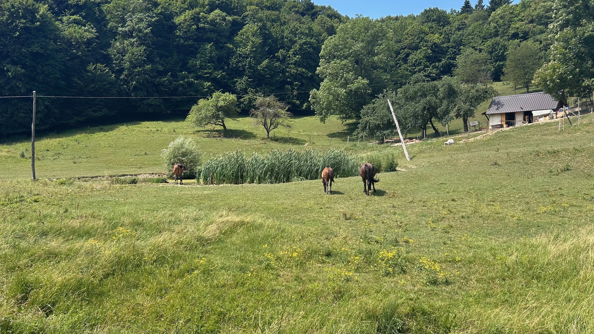 Ein bisschen Ungarn und Kroatien, Slovenien in voller Länge